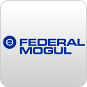 Federal Mogul Group